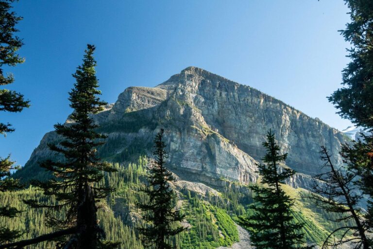What to Do When Your Goals Feel Miles Away